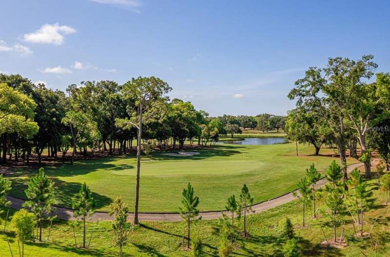 3 bedroom Townhouse at 1558 Sandhill Court, Innisbrook Prcl L Ph 1 & 3, Palm Harbor — photo 4