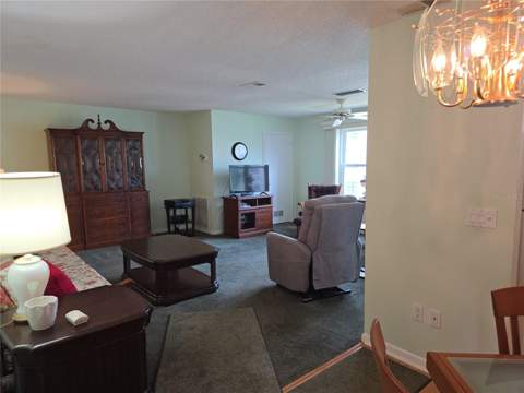 5603 80th Street #410, St Petersburg FL - photo 16 of 57