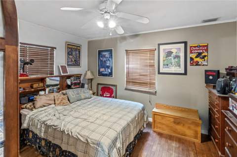 26015 Sackamaxon Drive, Sorrento FL - photo 13 of 28