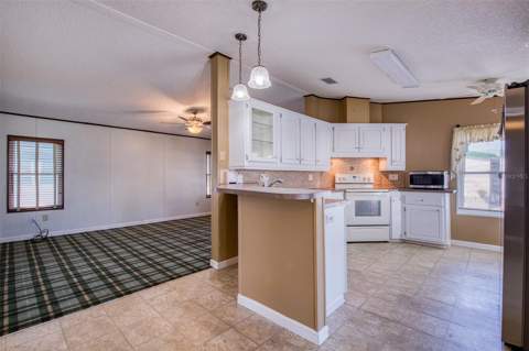 403 Blue Marlin Drive, Oldsmar FL - photo 10 of 38