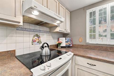 13020 Leverington Street, Tampa FL - photo 6 of 6