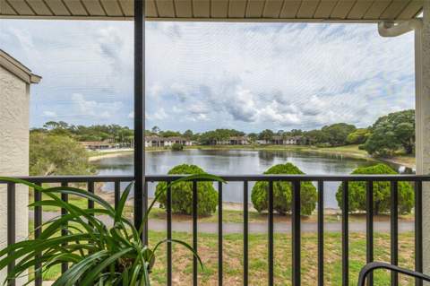 1882 Pine Ridge Way #C2, Palm Harbor FL - photo 9 of 28