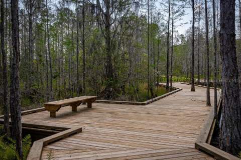 6713 Rucksack Road, St Cloud FL - photo 13 of 22