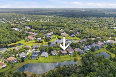 14722 Heronglen Drive, Lithia FL - photo 6 of 37