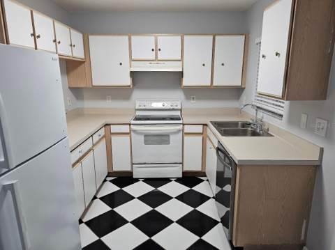2053 Fluorshire Drive, Brandon FL - photo 10 of 24