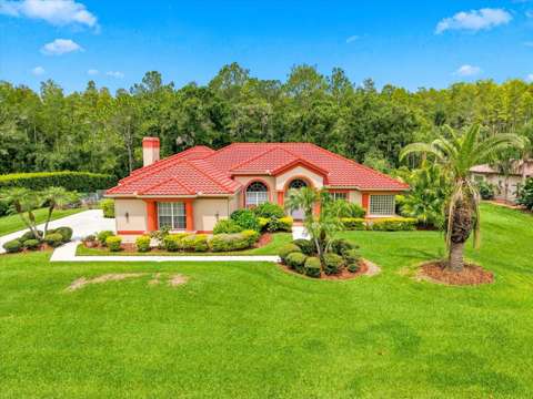 18621 Avenue Capri, luxury home for sale in Lutz