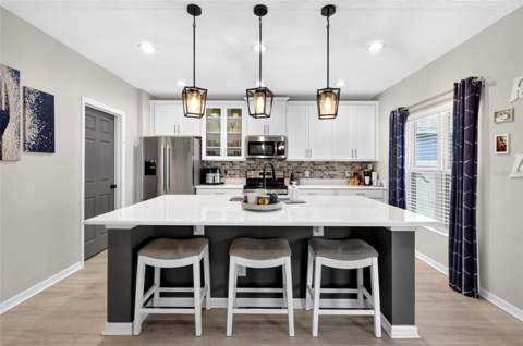 9399 Villanova Drive, Groveland FL - photo 14 of 62