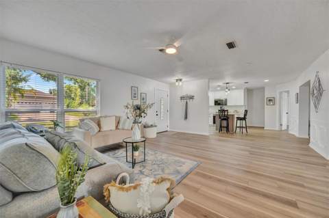 6209 Flamingo Drive, Apollo Beach FL - photo 7 of 59