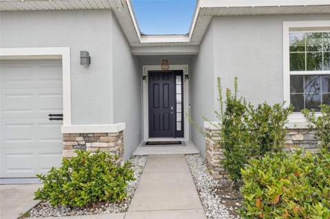 33146 Sand Creek Drive, Wesley Chapel FL - photo 6 of 6