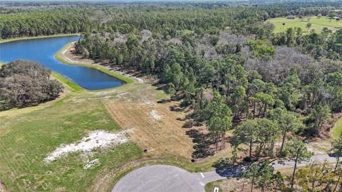 20280 Shoreline Ranch Lane, Umatilla FL - photo 11 of 15