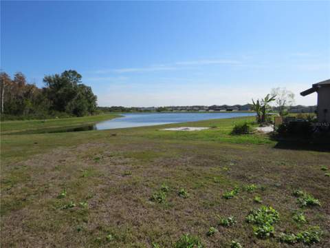 15518 Miller Creek Drive, Sun City Center FL - photo 18 of 27