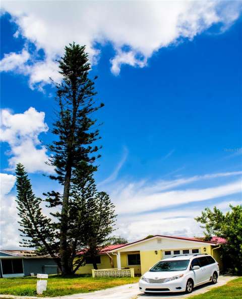 3806 Baden Drive, home for sale in Holiday 34691