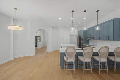 3692 Johnathon Avenue, Palm Harbor FL - photo 21 of 97