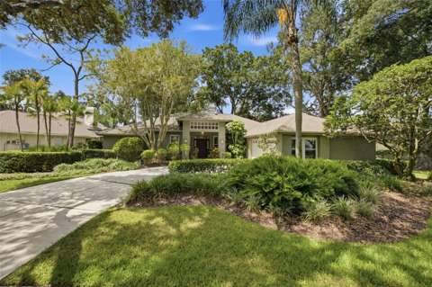 16416 Windsor Park Drive, home for sale in Lutz 33549