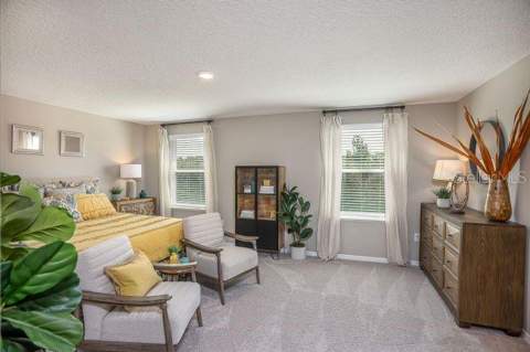 31576 Wild Grape Lane, Brooksville FL - photo 17 of 31