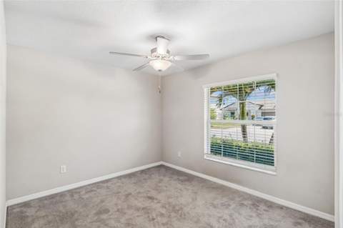 6388 Spider Lily Way, New Port Richey FL - photo 19 of 45