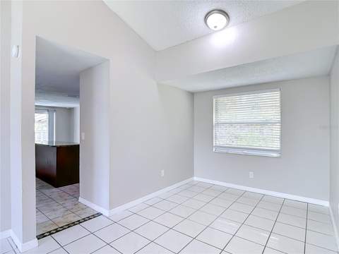 6701 Village Grove Court, Tampa FL - photo 8 of 39