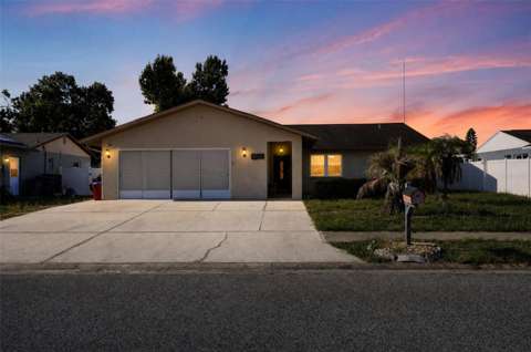 3104 Dole Street, home for sale in Holiday 34691
