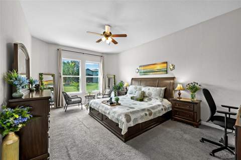 4501 Rolling Green Drive, Wesley Chapel FL - photo 14 of 54