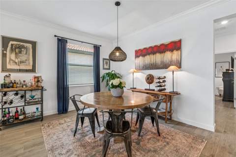 17307 Blue Walk Street, Wimauma FL - photo 12 of 47