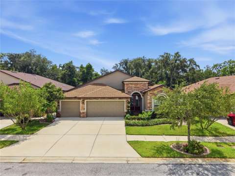 12725 Flatwood Creek Drive, home for sale in Gibsonton 33534