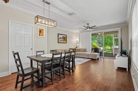 441 Harbor Ridge Drive, Palm Harbor FL - photo 19 of 51
