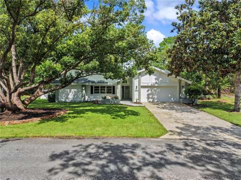 10 Colubrina Court, starter home for sale in Homosassa