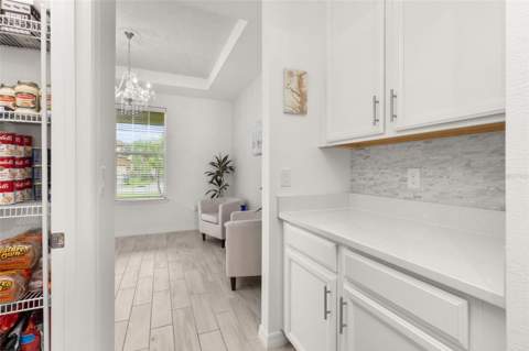 3855 Bowfin Trail, Kissimmee FL - photo 21 of 87
