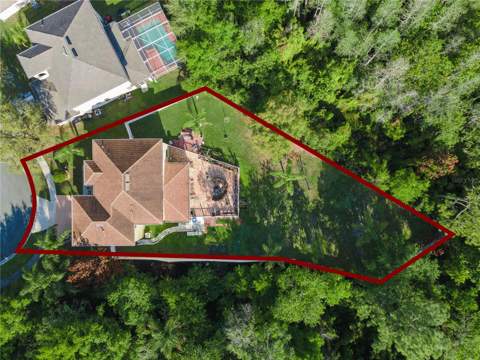 2606 Royal Fern Place, Kissimmee FL - photo 6 of 6