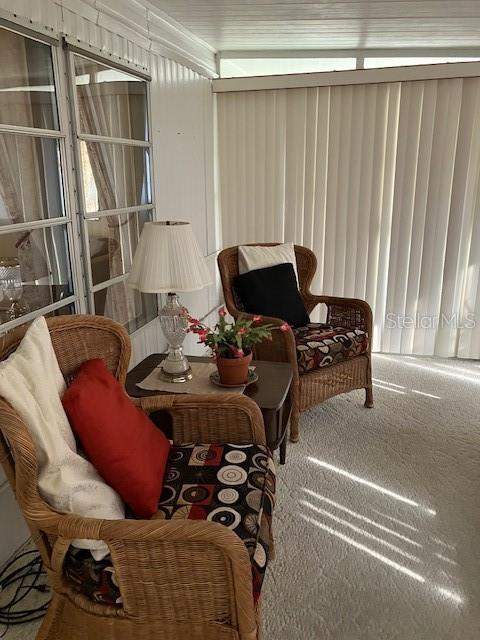 3405 Lanark Drive, Holiday FL - photo 20 of 33