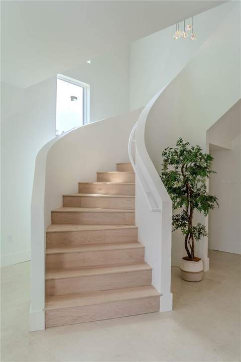 4414 W Lawn Avenue, Tampa FL - photo 17 of 97