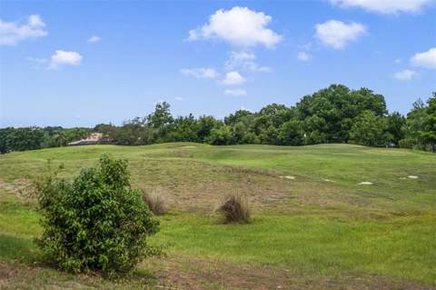 25551 Hawks Run Lane, Sorrento FL - photo 23 of 75