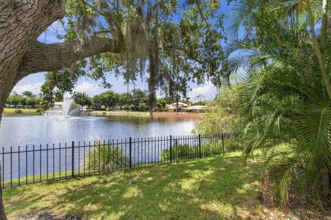 1469 Riverdale Drive, Oldsmar FL - photo 6 of 6