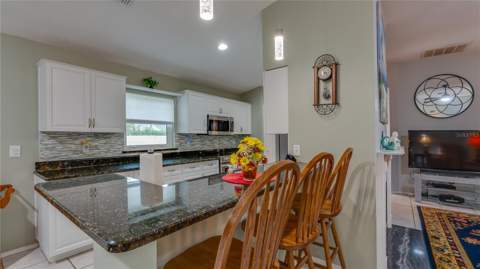 366 Rainforest Court, Oldsmar FL - photo 12 of 65