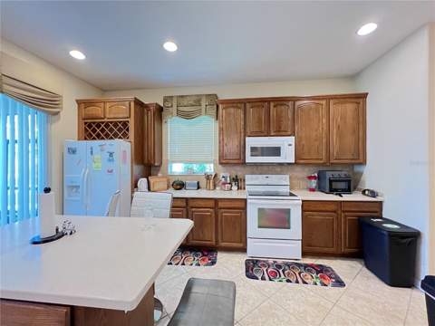 1607 Tail Feather Drive, Kissimmee FL - photo 10 of 52