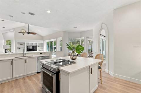 3553 Florian Terrace, Palm Harbor FL - photo 8 of 87