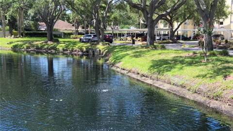 13626 Greenfield Drive #201, Tampa FL - photo 23 of 32