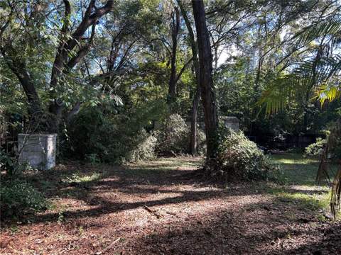608 NW 9th Court, Williston FL - photo 6 of 6
