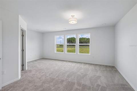 34563 Turpins Avenue, Zephyrhills FL - photo 13 of 27