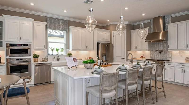 3 bedroom Single Family Residence at 29680 Imperati Boulevard, Esplanade At Wiregrass Ranch, Wesley Chapel — photo 2