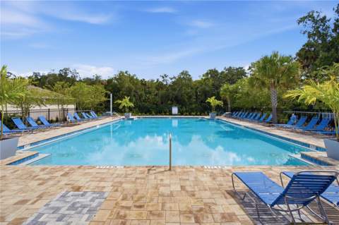 20043 Royal Tern Court, Leesburg FL - photo 7 of 55