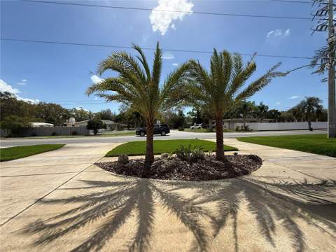 2058 Nursery Road, Clearwater FL - photo 6 of 72