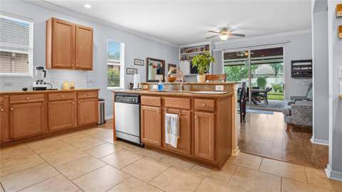 19420 Sunset Bay Drive, Land O Lakes FL - photo 8 of 55