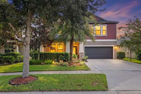 14242 Blue Dasher Drive, home for sale in Riverview 33569