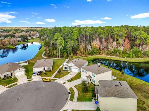 2928 Canary Lane, Tavares FL - photo 6 of 6