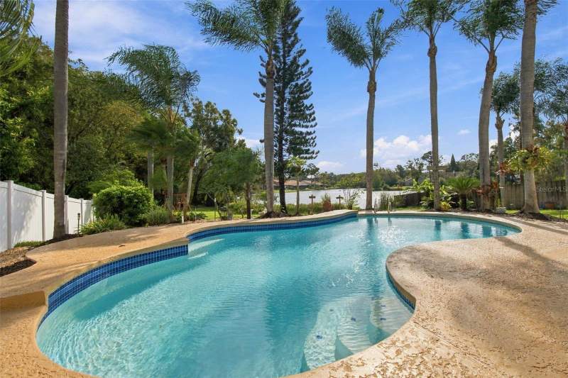 4 bedroom Single Family Residence at 15113 Alexis Drive, Carrollwood Spgs Unit 3, Tampa — photo 5