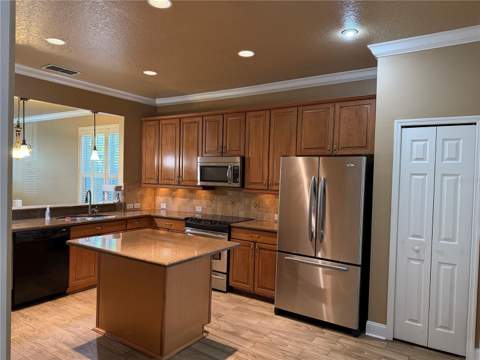 13006 Sunkiss Loop, Windermere FL - photo 22 of 52