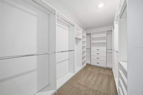 30643 Walker Cup Place, Wesley Chapel FL - photo 16 of 47