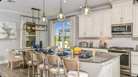 3826 Masaniello Way, Wesley Chapel FL - photo 6 of 25