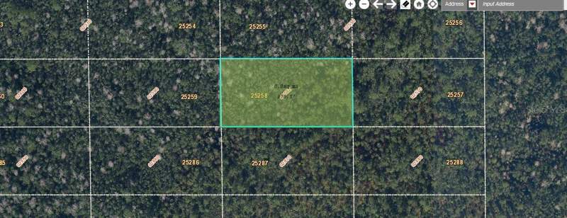 Dill Road home for sale in ORANGE CO ACRES TR 26258
